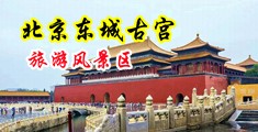 骚逼被操视频,,,中国北京-东城古宫旅游风景区